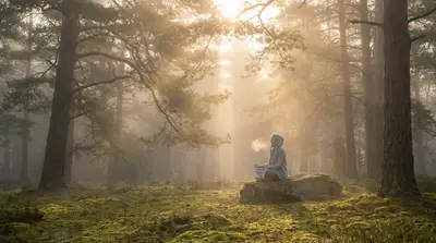 Clearing the Haze: Mindfulness Practices for a Brighter Mind