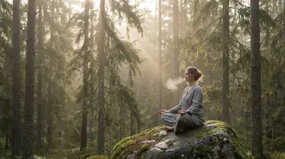 Softening the Day: Meditation Practices for a Clearer Inner View